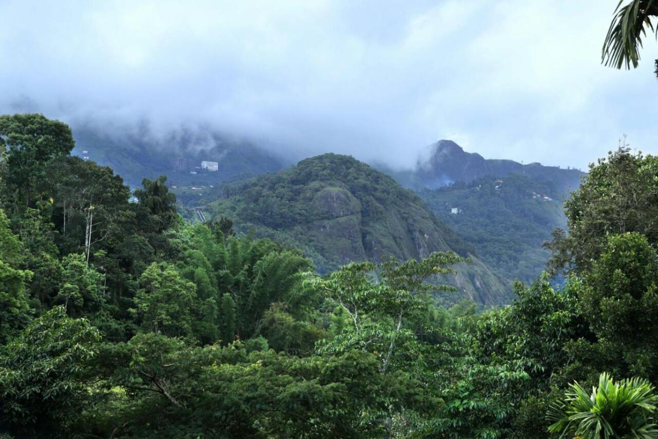 Ayursakthi Riverdale Munnar Zewnętrze zdjęcie