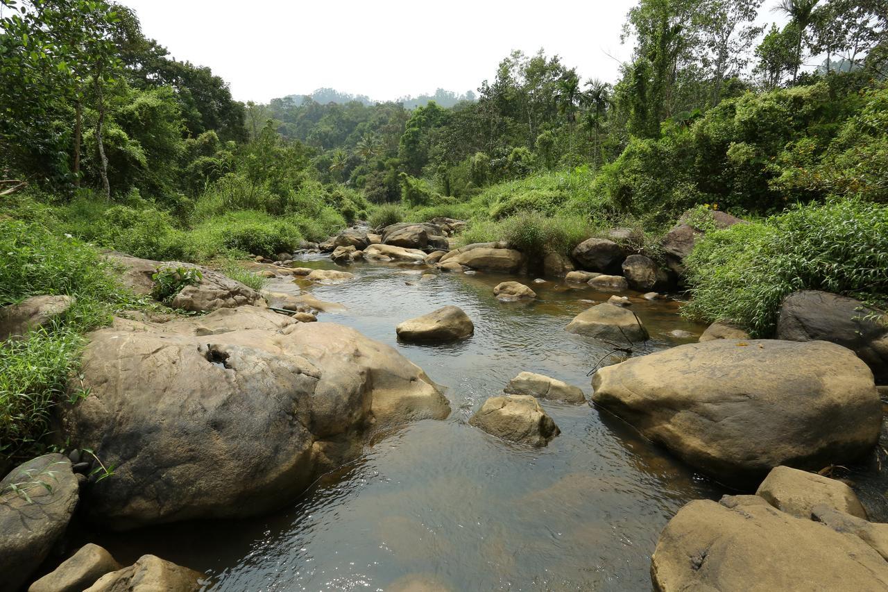 Ayursakthi Riverdale Munnar Zewnętrze zdjęcie