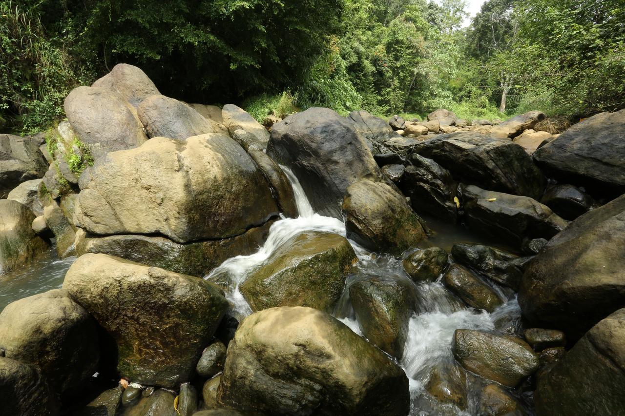 Ayursakthi Riverdale Munnar Zewnętrze zdjęcie
